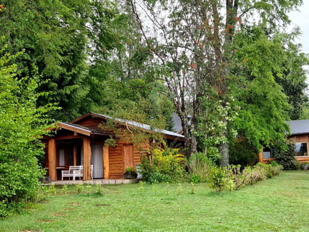 CASA RAULI 2_06